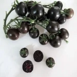 گوجه سیاه گیلاسی برای سالاد کد 41