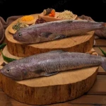ماهی حسون بزرگ درجه یک صادراتی خلیج فارس کد 19