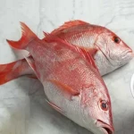 ماهی سرخو اصل تازه پاک شده در تهران قیمت مناسب کد 91