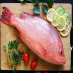 ماهی سرخو اصل صید روز قیمت عمده در خوزستان کد 92