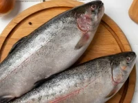 طبع ماهی قزل آلا سرد است یا گرم و خواص آن برای سلامتی