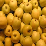 قیمت و خرید سیب زرد ایرانی با مشخصات کامل