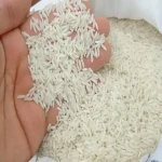 مشخصات برنج  هاشمی شیرودی فجر و نحوه خرید عمده