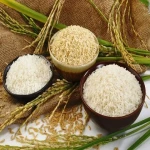 مشخصات برنج تایلندی هومالی و نحوه خرید عمده