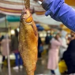 قیمت و خرید ماهی سفید دودی شمال با مشخصات کامل