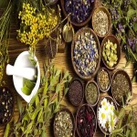 خرید عمده گیاهان دارویی استان بوشهر با بهترین شرایط