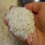 برنج هاشمی اصل شمال همراه با توضیحات کامل و آشنایی
