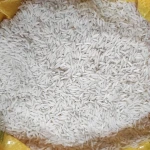 برنج هاشمی اعلا درجه یک آشنایی صفر تا صد قیمت خرید عمده