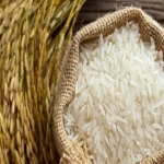 قیمت و خرید برنج طارم عطری شمال با مشخصات کامل