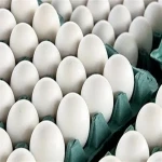 خرید عمده تخم مرغ شانه 30 عددی با بهترین شرایط