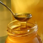 قیمت و خرید عسل کوهی ایران با مشخصات کامل