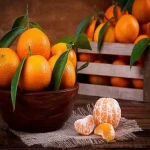 لیست قیمت نارنگی پیج شمال به صورت عمده و با صرفه