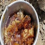 قیمت و خرید عسل کوهی بلوچستان با مشخصات کامل