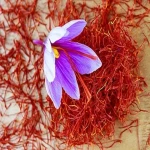 آموزش خرید زعفران یک گرمی قائنات صفر تا صد
