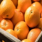 مشخصات پرتقال صادراتی داراب و نحوه خرید عمده