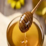 راهنمای خرید عسل یونجه کوهی با شرایط ویژه و قیمت استثنایی