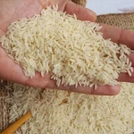 راهنمای خرید برنج هاشمی فوق اعلا گیلان با شرایط ویژه و قیمت استثنایی