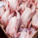 قیمت و خرید گوشت مرغ کیلویی با مشخصات کامل