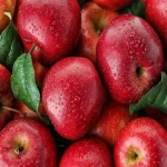 مشخصات سیب درختی سرخ و نحوه خرید عمده