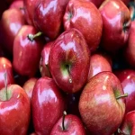 سیب سرخ سمنان آشنایی صفر تا صد قیمت خرید عمده