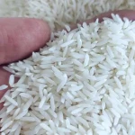 مشخصات برنج هاشمی اصل شمال و نحوه خرید عمده