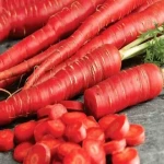 مشخصات هویج قرمز رنگ و نحوه خرید عمده