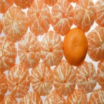 آموزش خرید نارنگی ژاپنی پایه نارنج صفر تا صد