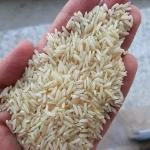 راهنمای خرید برنج طارم دم سیاه با شرایط ویژه و قیمت استثنایی