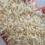 قیمت و خرید برنج ایرانی هاشمی با مشخصات کامل
