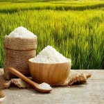 قیمت و خرید برنج دم سیاه هاشمی با مشخصات کامل