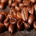 قهوه عربیکا اتیوپی آشنایی صفر تا صد قیمت خرید عمده