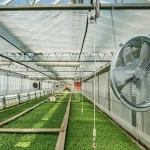 راهنمای خرید فن تهویه هوا گلخانه با شرایط ویژه و قیمت استثنایی