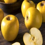 سیب درختی اصفهان آشنایی صفر تا صد قیمت خرید عمده