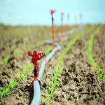راهنمای خرید لوله آبیاری کشاورزی با شرایط ویژه و قیمت استثنایی