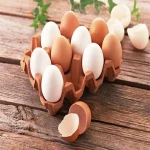خرید عمده تخم مرغ بسته بندی شده با بهترین شرایط