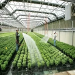 خرید عمده سیستم سرمایشی گلخانه با بهترین شرایط