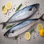 قیمت خرید عمده ماهی شیر اصفهان ارزان و مناسب