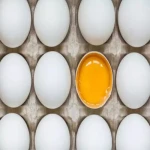 خرید عمده تخم مرغ زرده طلایی با بهترین شرایط