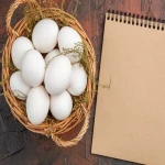 آموزش خرید تخم مرغ تازه رسمی صفر تا صد