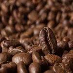 راهنمای خرید دانه قهوه مدیوم رست با شرایط ویژه و قیمت استثنایی