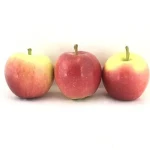 راهنمای خرید سیب گالا دماوند با شرایط ویژه و قیمت استثنایی