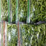 خرید عمده لوبیا سبز آماده با بهترین شرایط