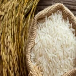 راهنمای خرید برنج چمپا گیلان با شرایط ویژه و قیمت استثنایی