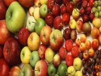 خرید عمده سیب درختی خارجی با بهترین شرایط