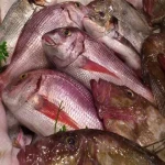 آموزش خرید ماهی سرخو تک خال صفر تا صد