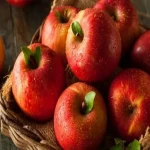 سیب گالا قرمز آشنایی صفر تا صد قیمت خرید عمده