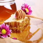 لیست قیمت عسل طبیعی تبریز به صورت عمده و با صرفه