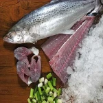 ماهی شیر قباد؛ آبی خاکستری افزایش متابولیسم بدن مواد معدنی Omega 3