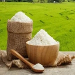 خرید برنج شمال درجه یک مرغوب زیر قیمت بازار به شرط پخت