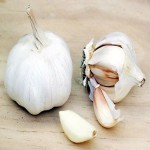سیر صادراتی درجه یک ( premium export garlic) + قیمت خرید عالی